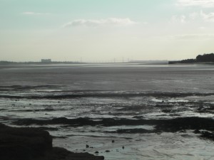 Severn Estuary Image