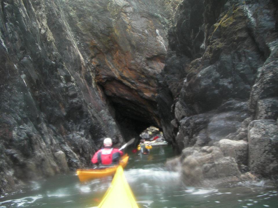 into the witches Couldron