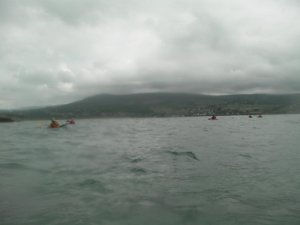 Newport bay