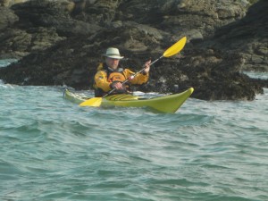 Essential Sea Kayak Festival Trip Image