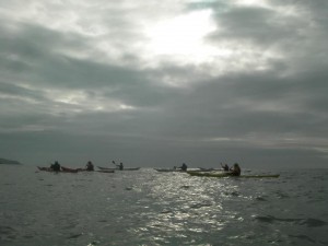 Essential Sea Kayak Festival Trip Image