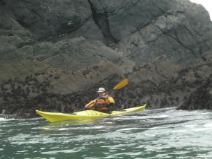 Essential Sea Kayak Festival Trip Image