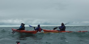 Dinas Head Tide Race