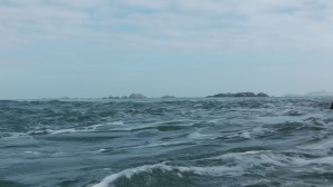 South Bishop Tide Race