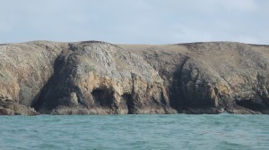 The Elephant