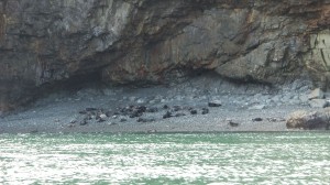 Bachelor's Bay