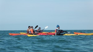 Sea Kayaking in Pembrokeshire