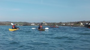 Newporrt Estuary