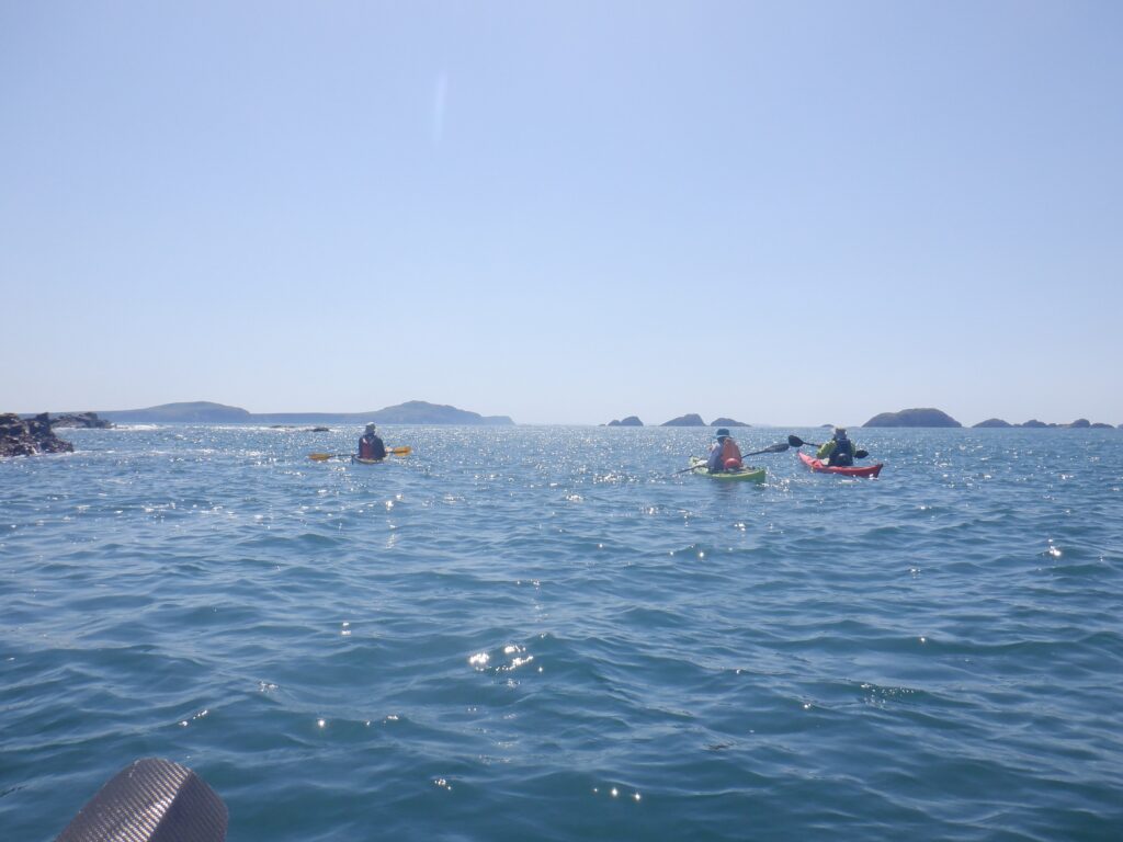 Sea kayakers approaching an offshore island in Pembrokeshire